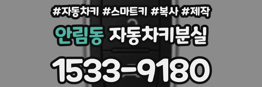 안림동 자동차키분실