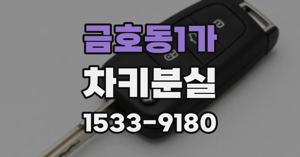 금호동1가 차키분실