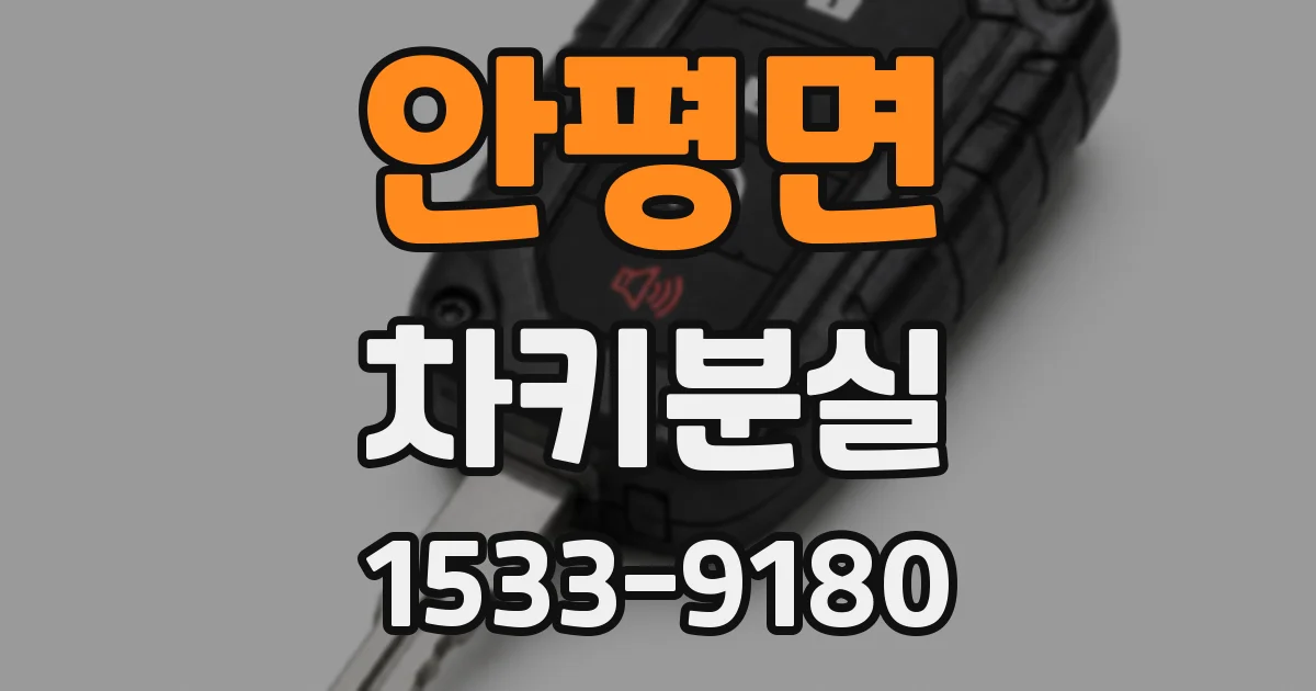 안평면 차키분실