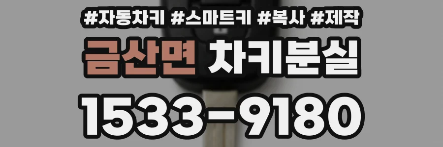 금산면 차키분실