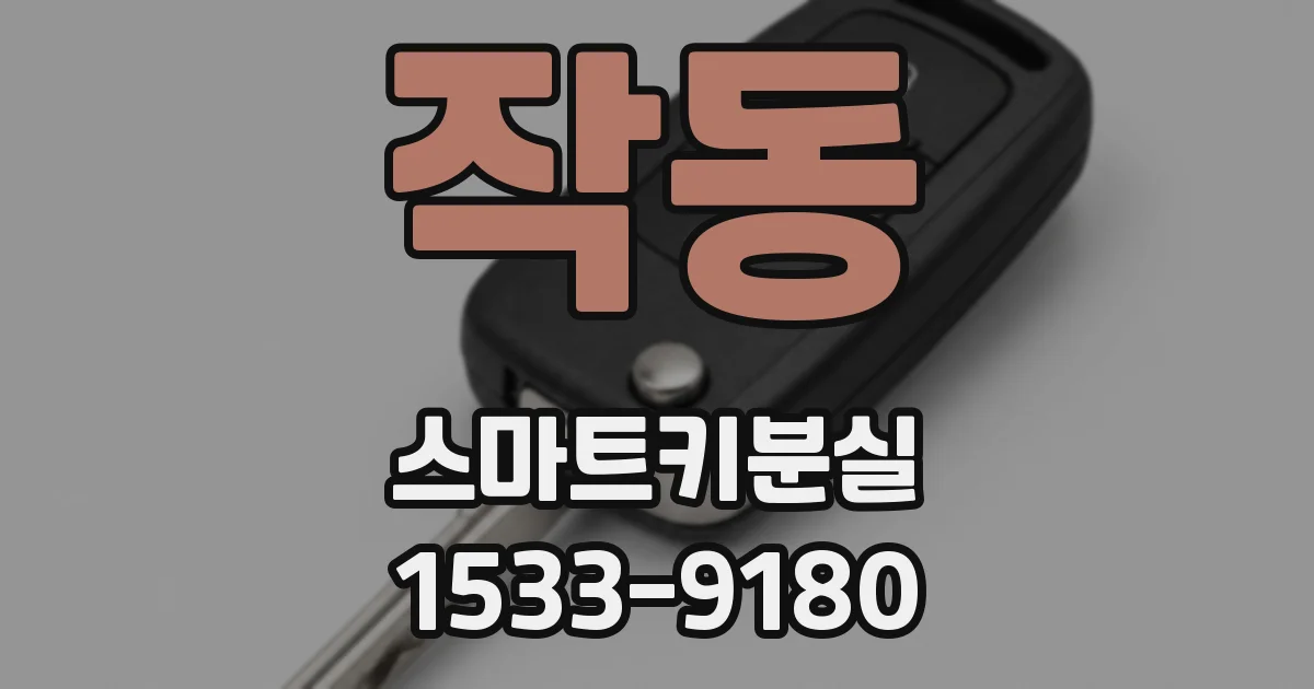 작동 스마트키분실