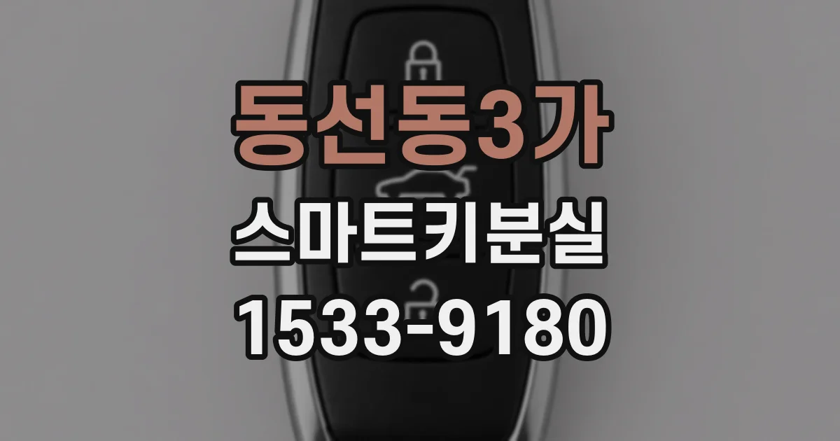 동선동3가 스마트키분실