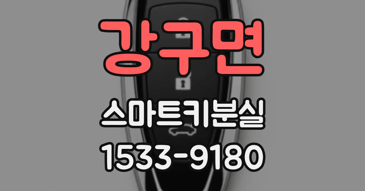 강구면 스마트키분실