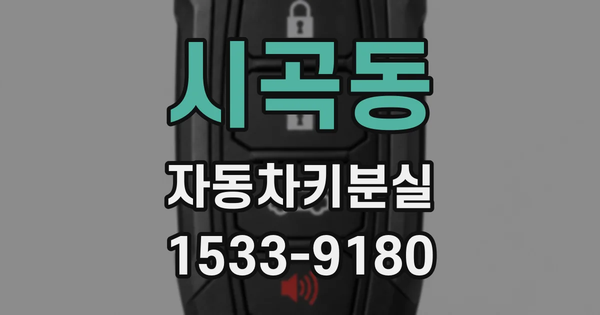 시곡동 자동차키분실