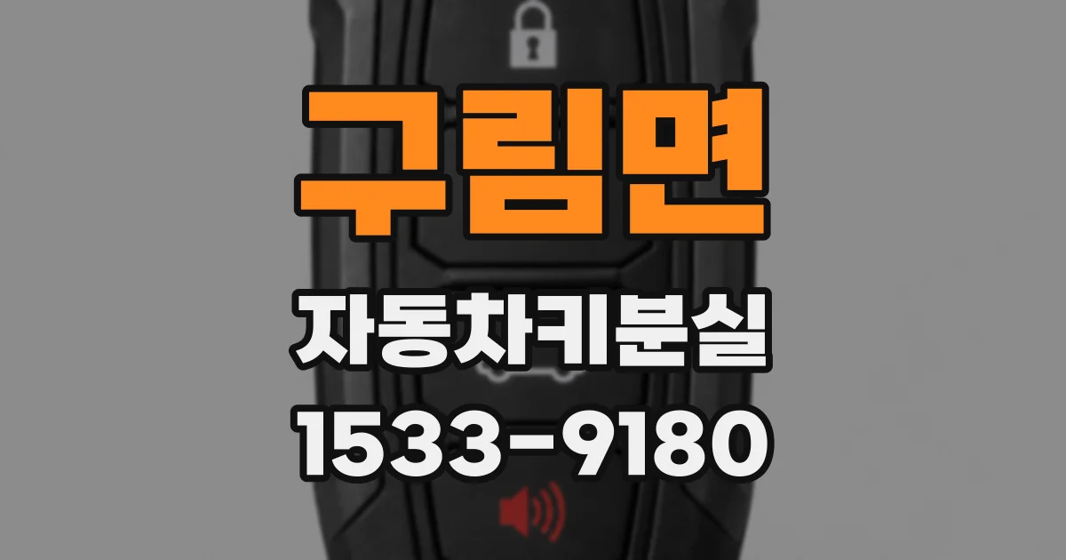 구림면 자동차키분실