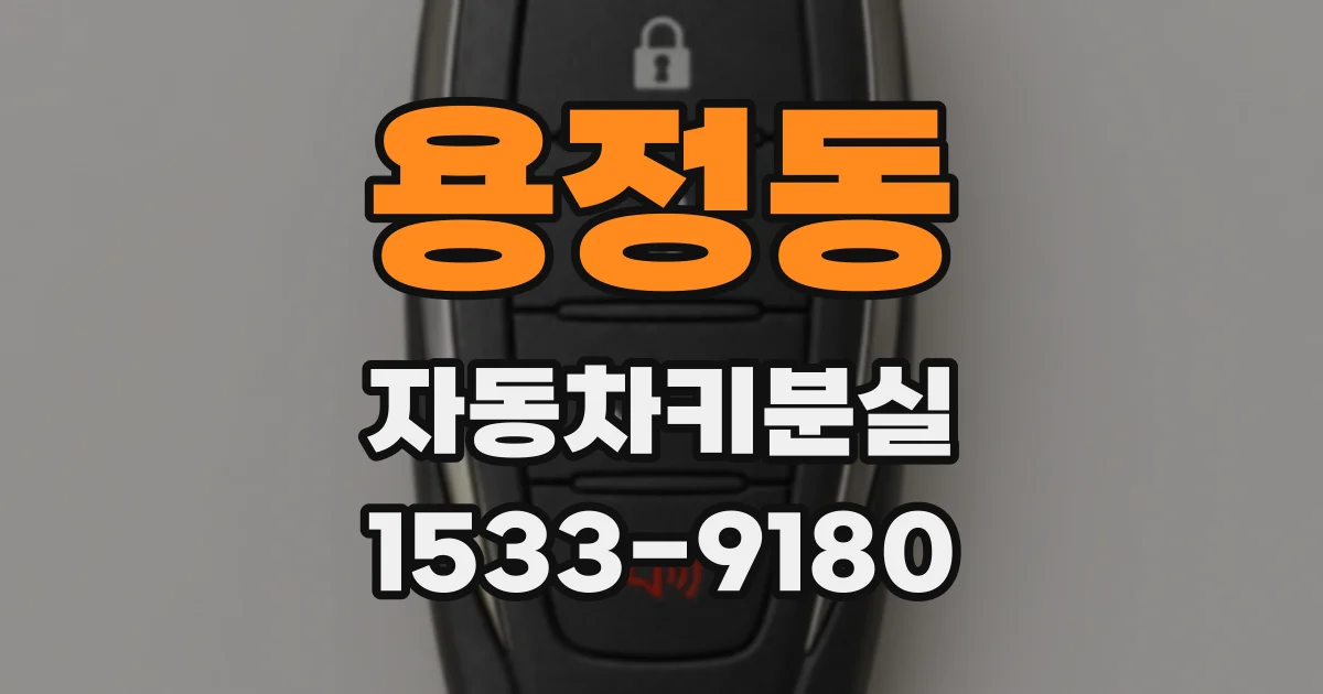 용정동 자동차키분실