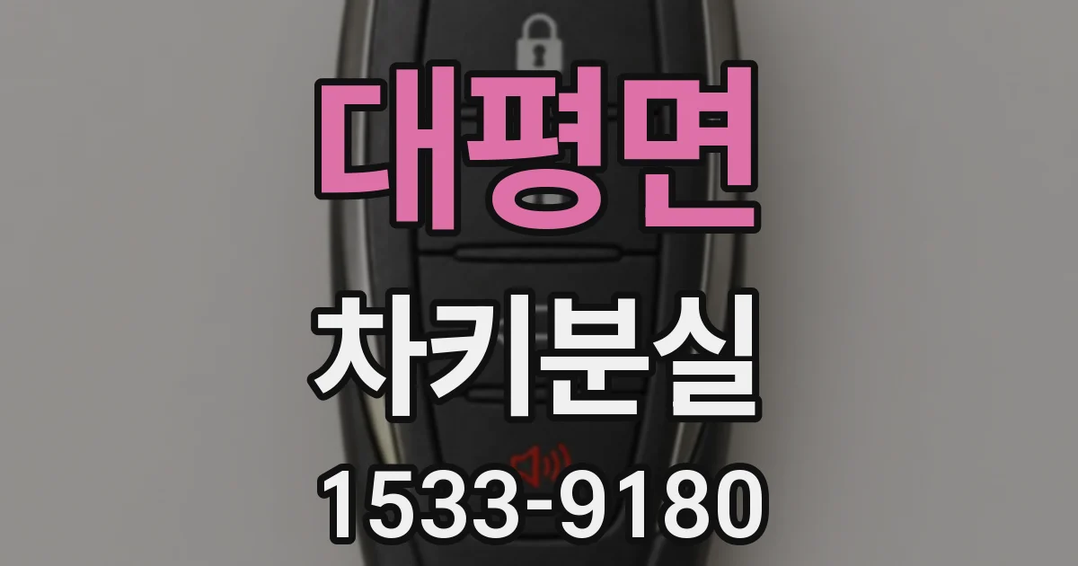 대평면 차키분실