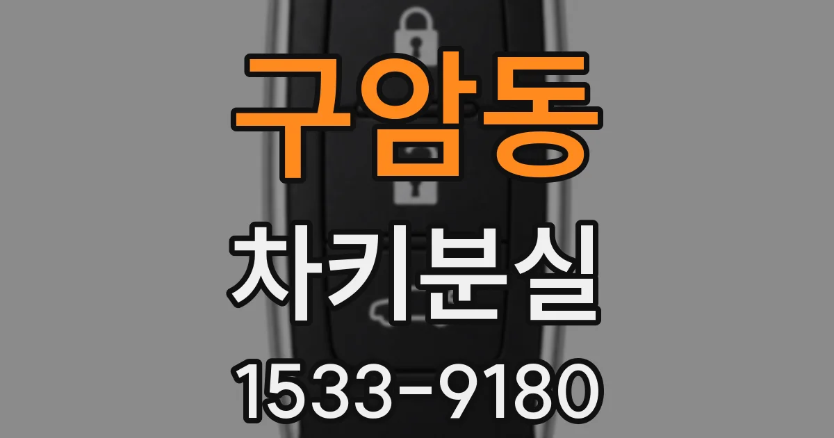구암동 차키분실