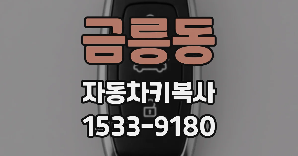 금릉동 자동차키복사