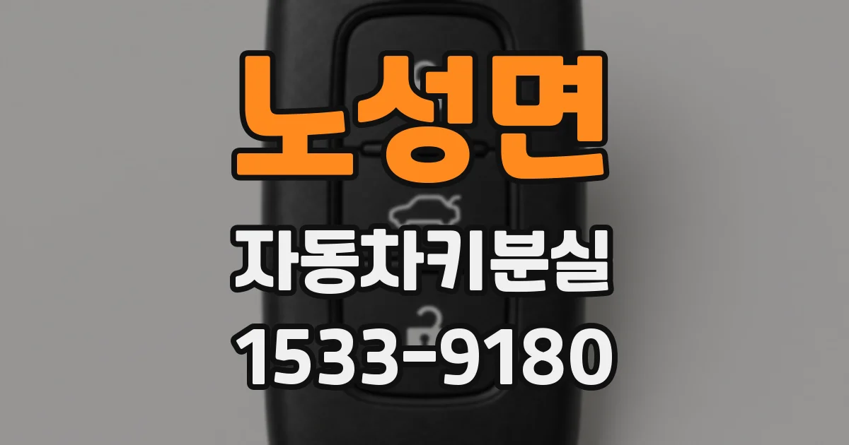 노성면 자동차키분실