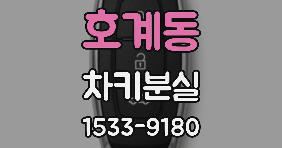 호계동 차키분실