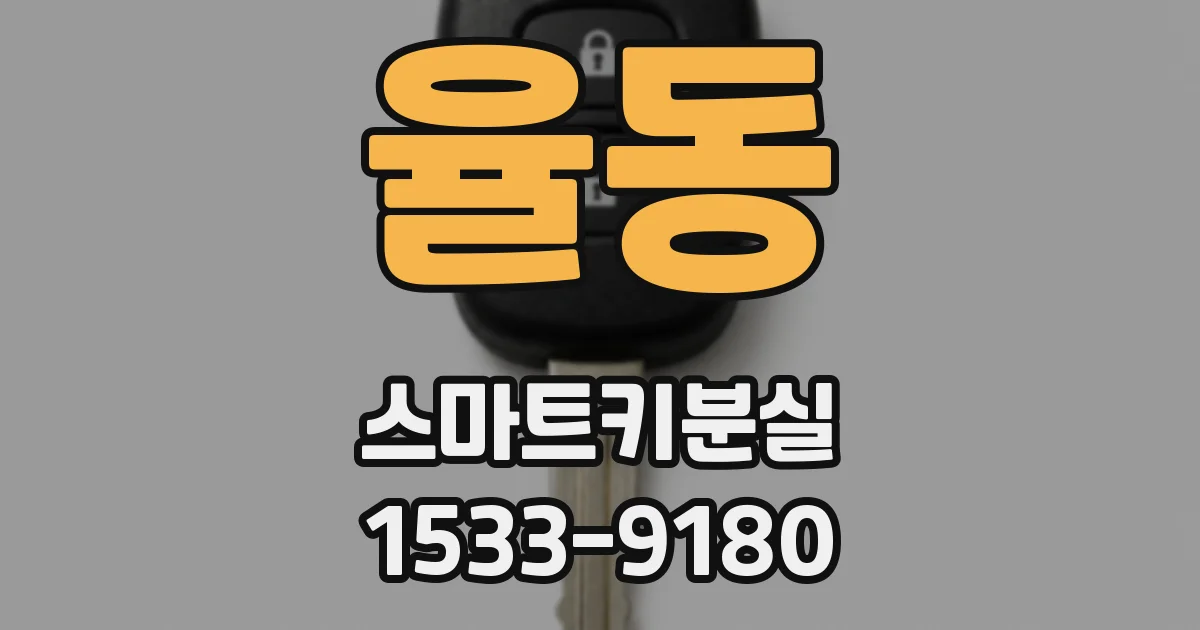 율동 스마트키분실