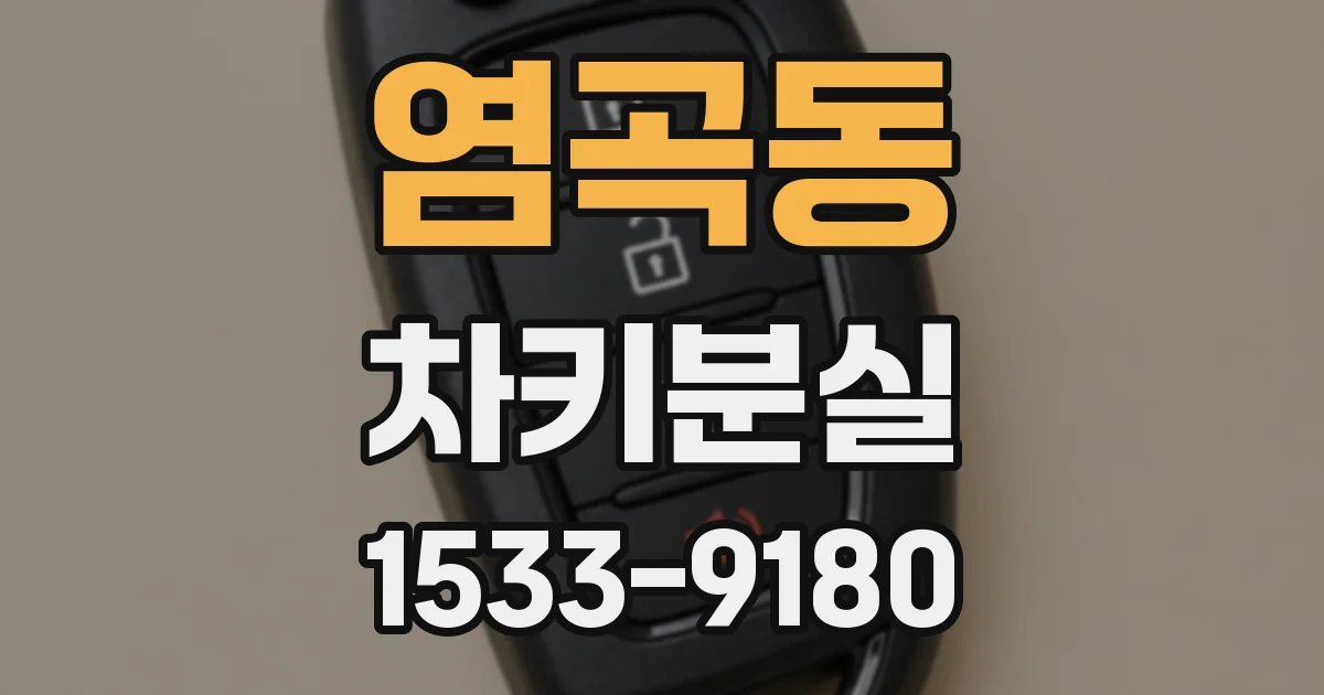 염곡동 차키분실