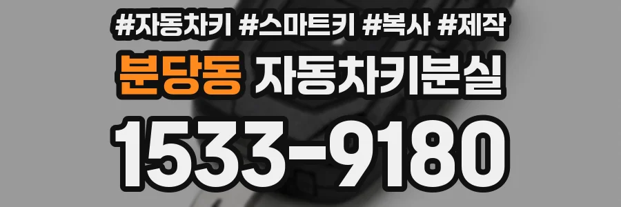분당동 자동차키분실