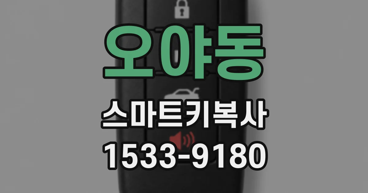 오야동 스마트키복사