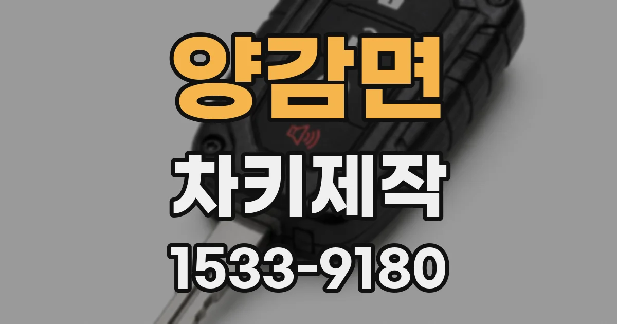 양감면 차키제작