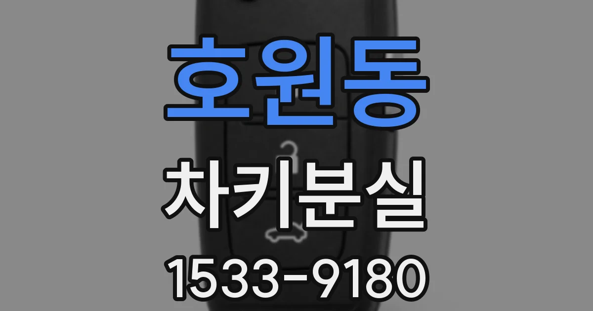 호원동 차키분실