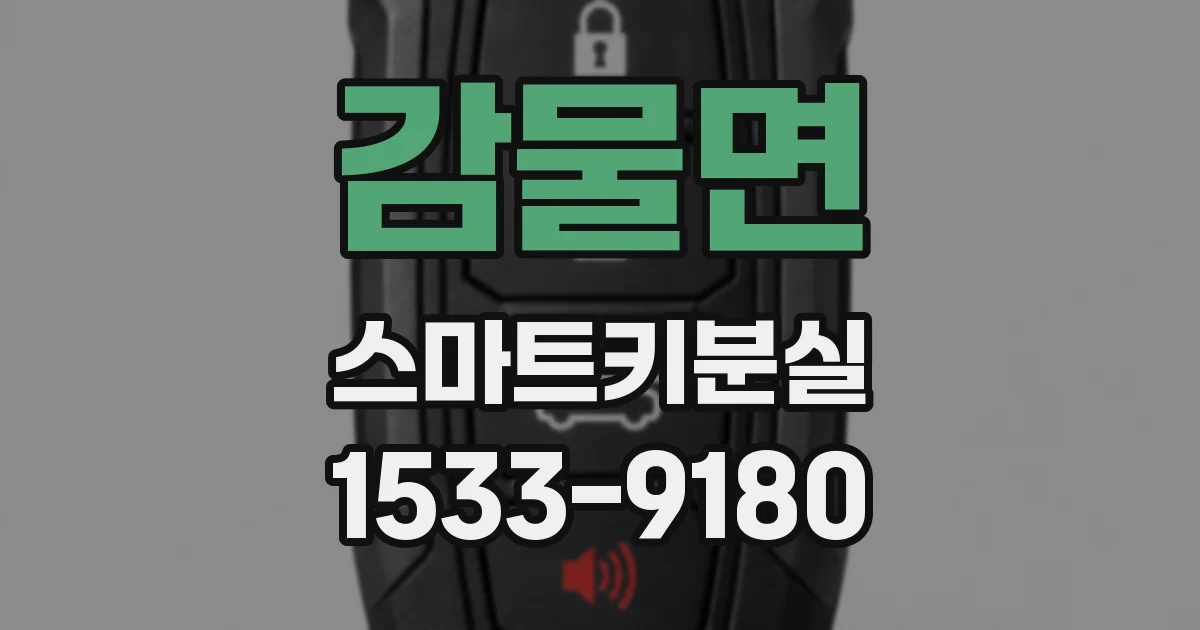 감물면 스마트키분실