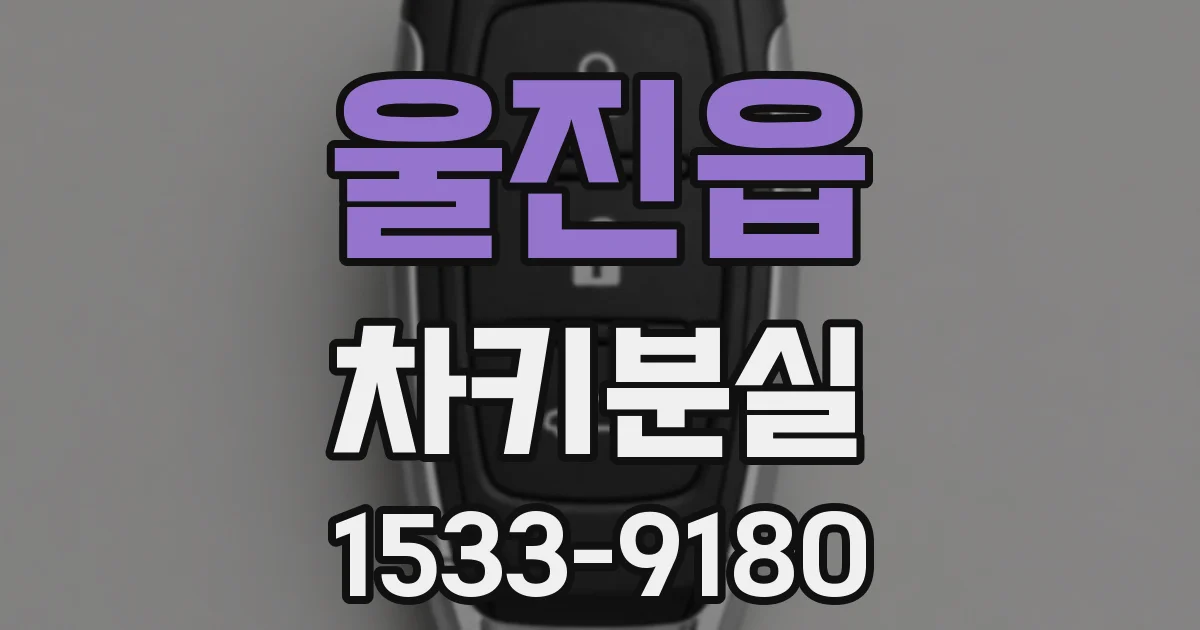 울진읍 차키분실