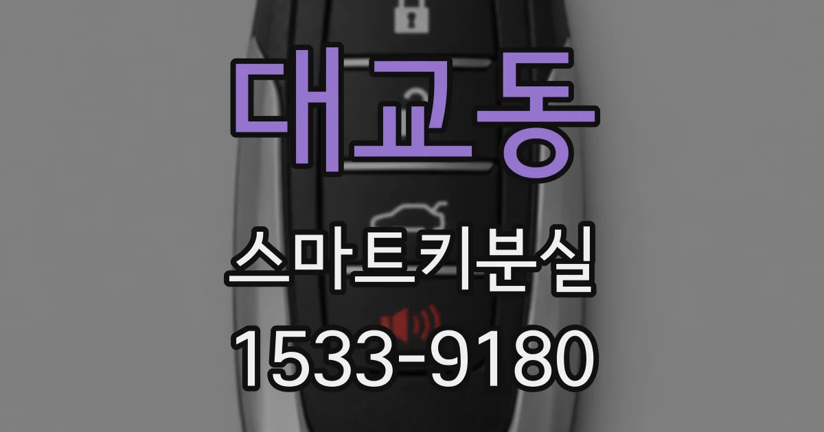 대교동 스마트키분실