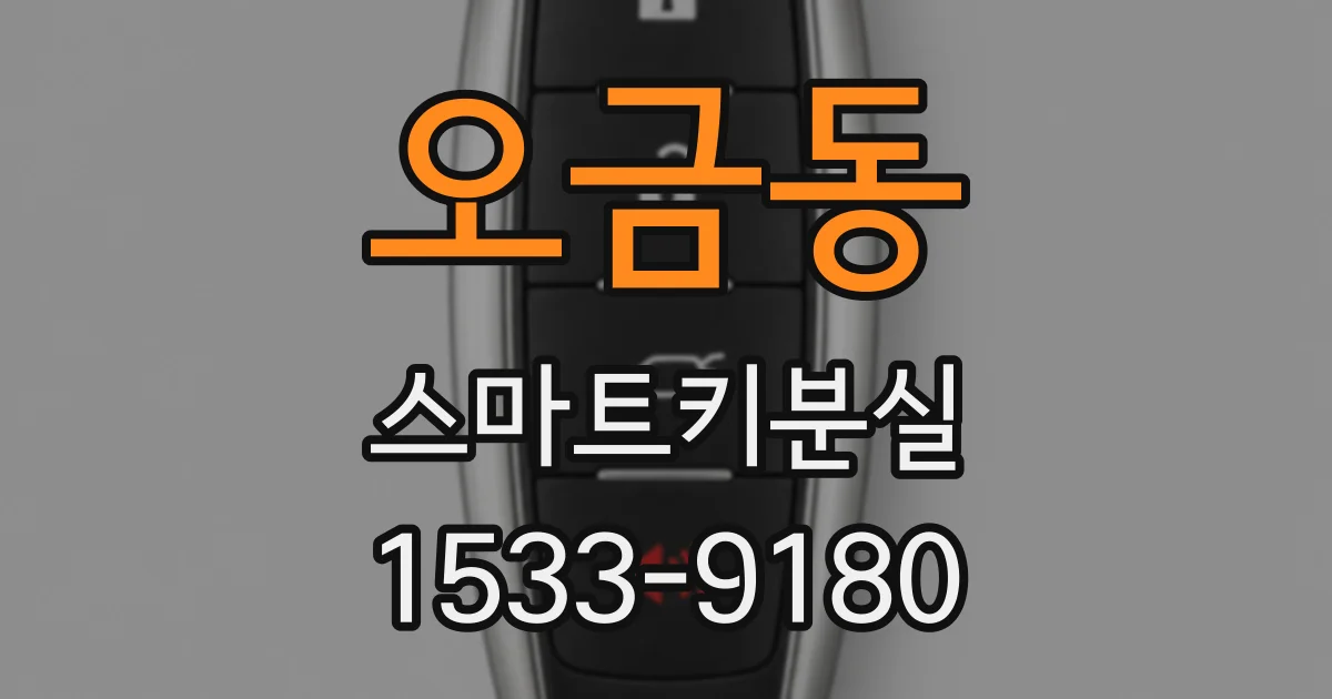오금동 스마트키분실