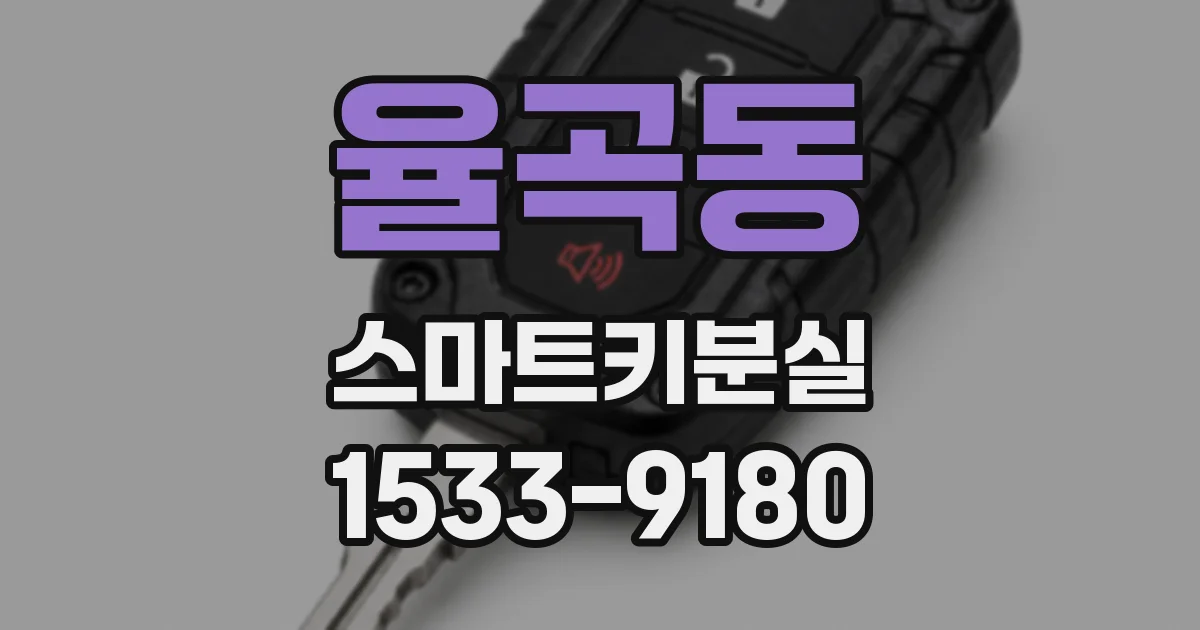 율곡동 스마트키분실