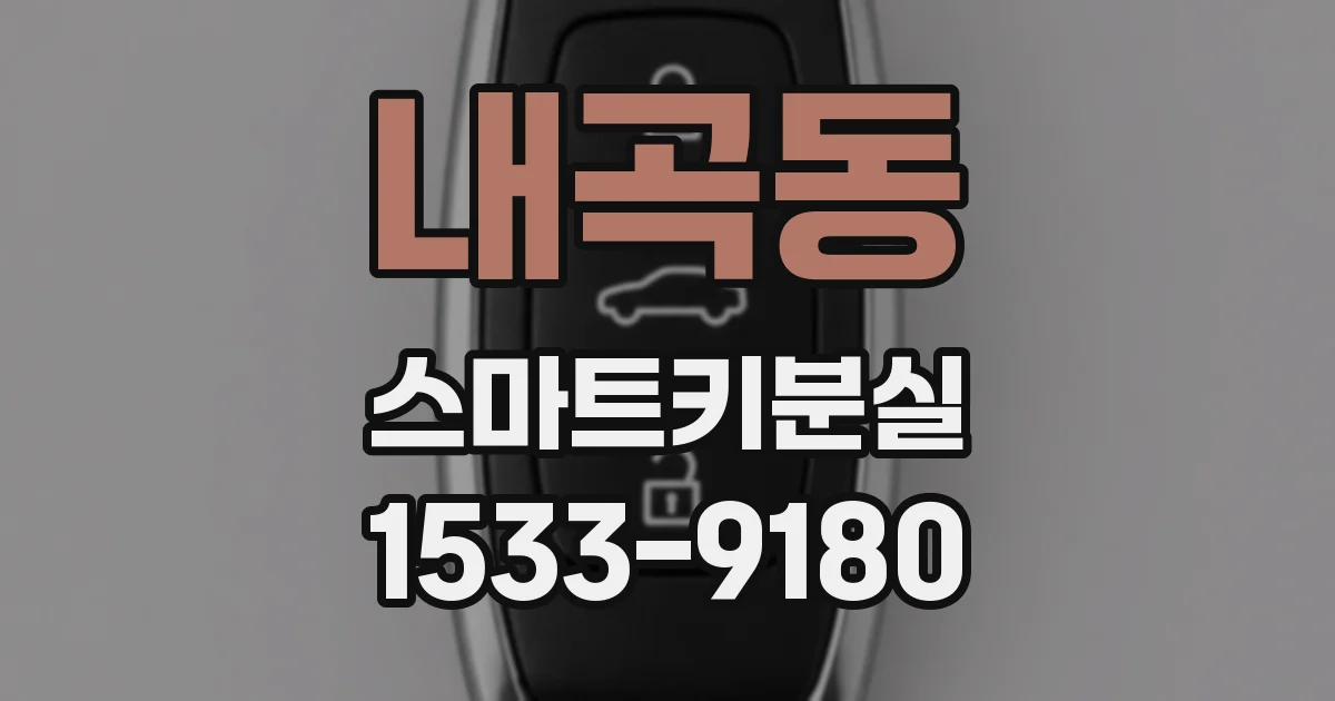 내곡동 스마트키분실