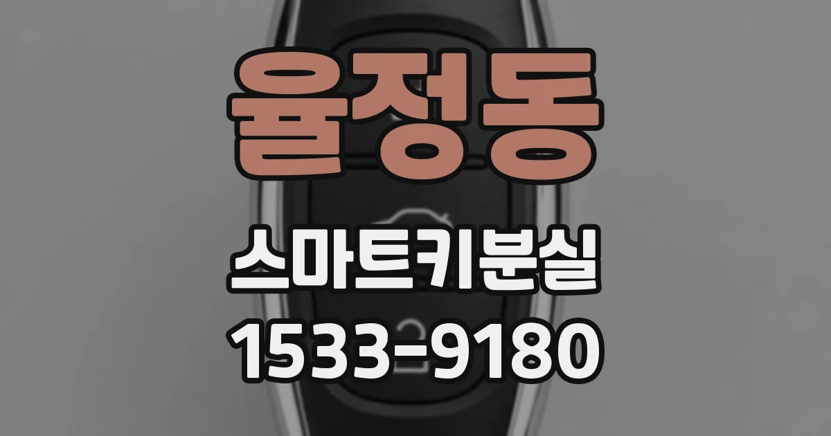 율정동 스마트키분실