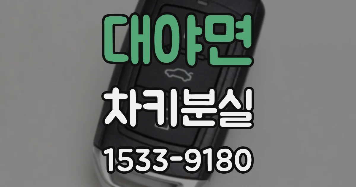 대야면 차키분실