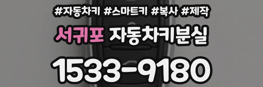 서귀포 자동차키분실