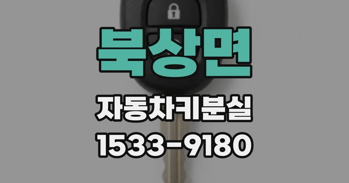 북상면 자동차키분실
