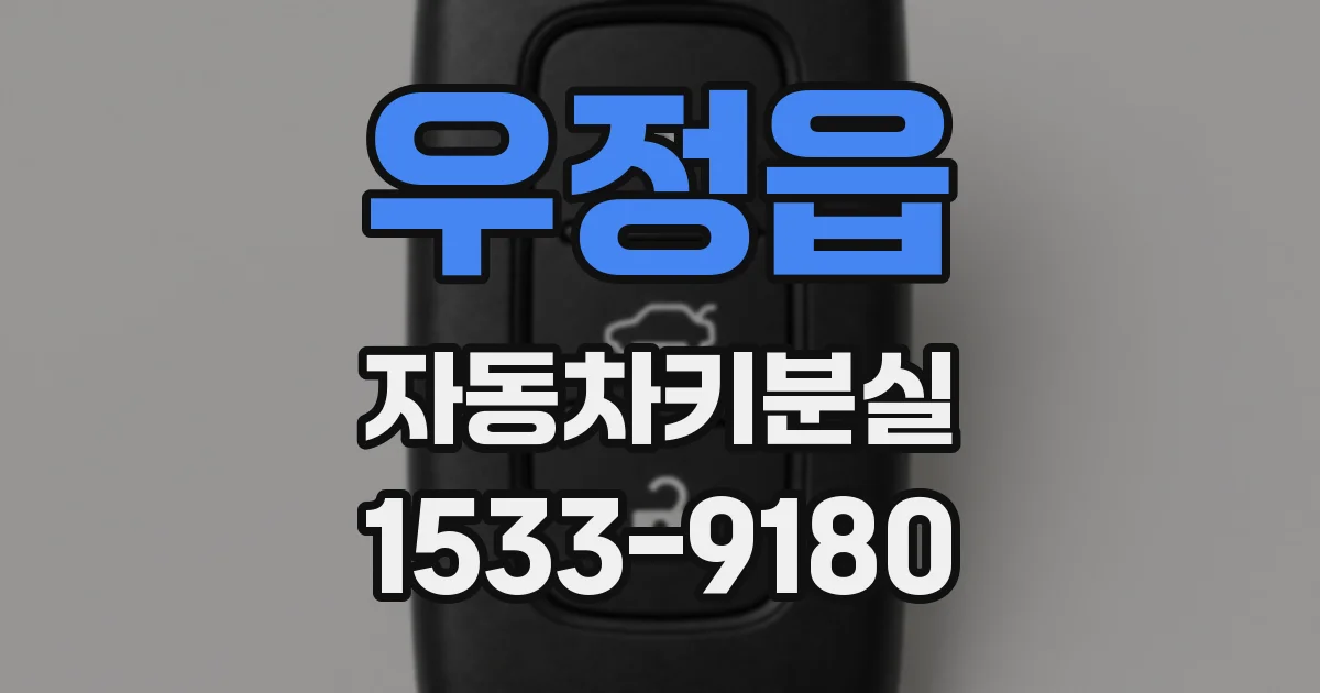 우정읍 자동차키분실