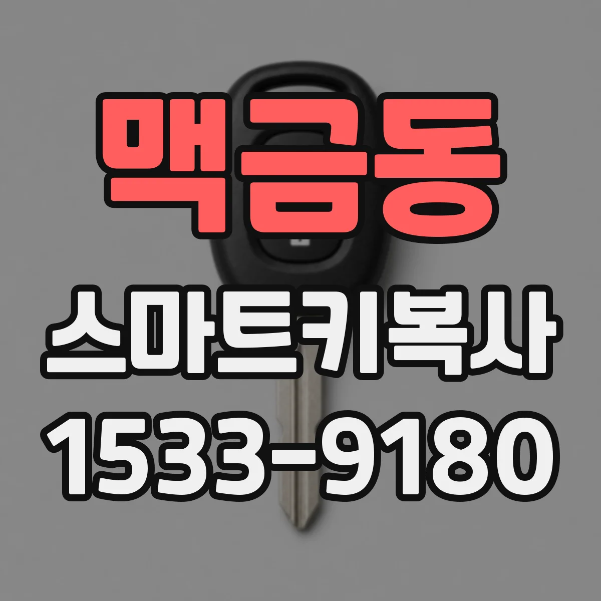 맥금동 스마트키복사