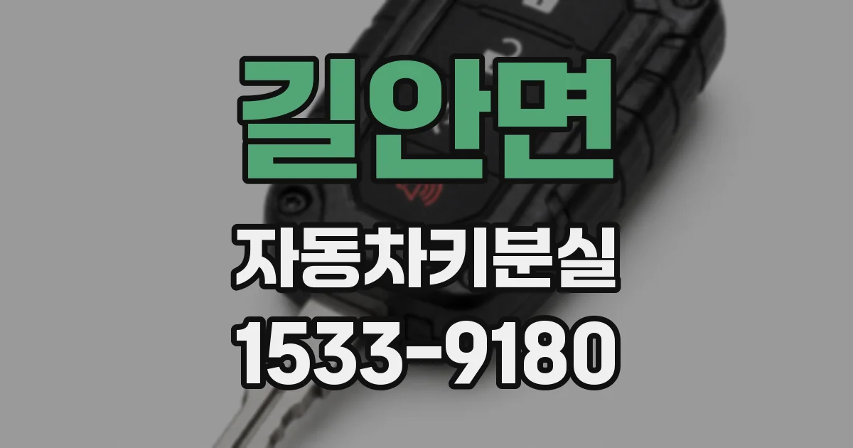 길안면 자동차키분실