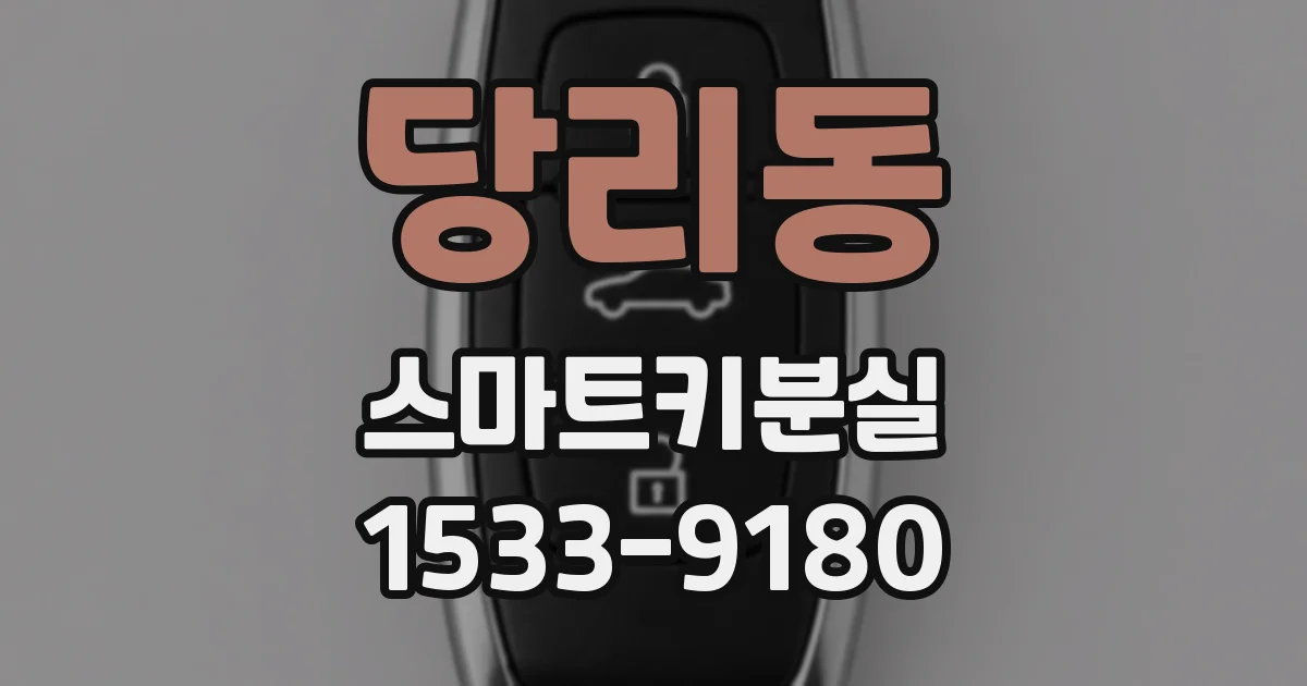 당리동 스마트키분실