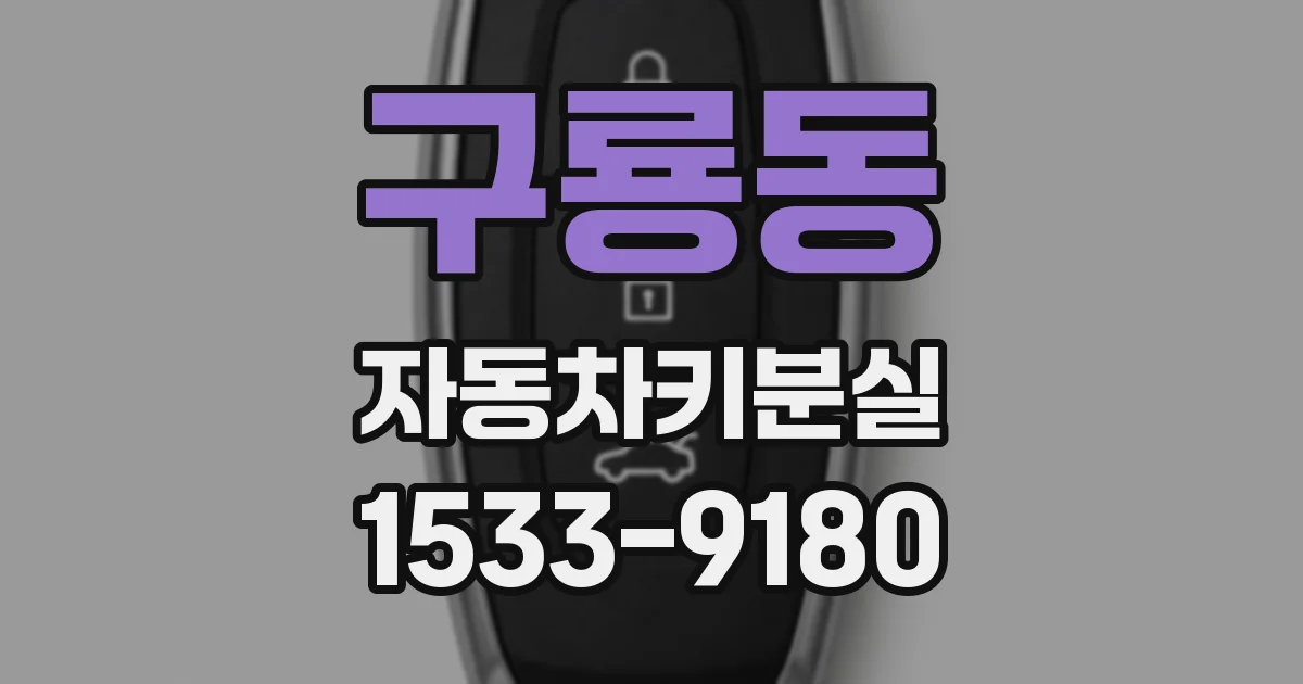 구룡동 자동차키분실