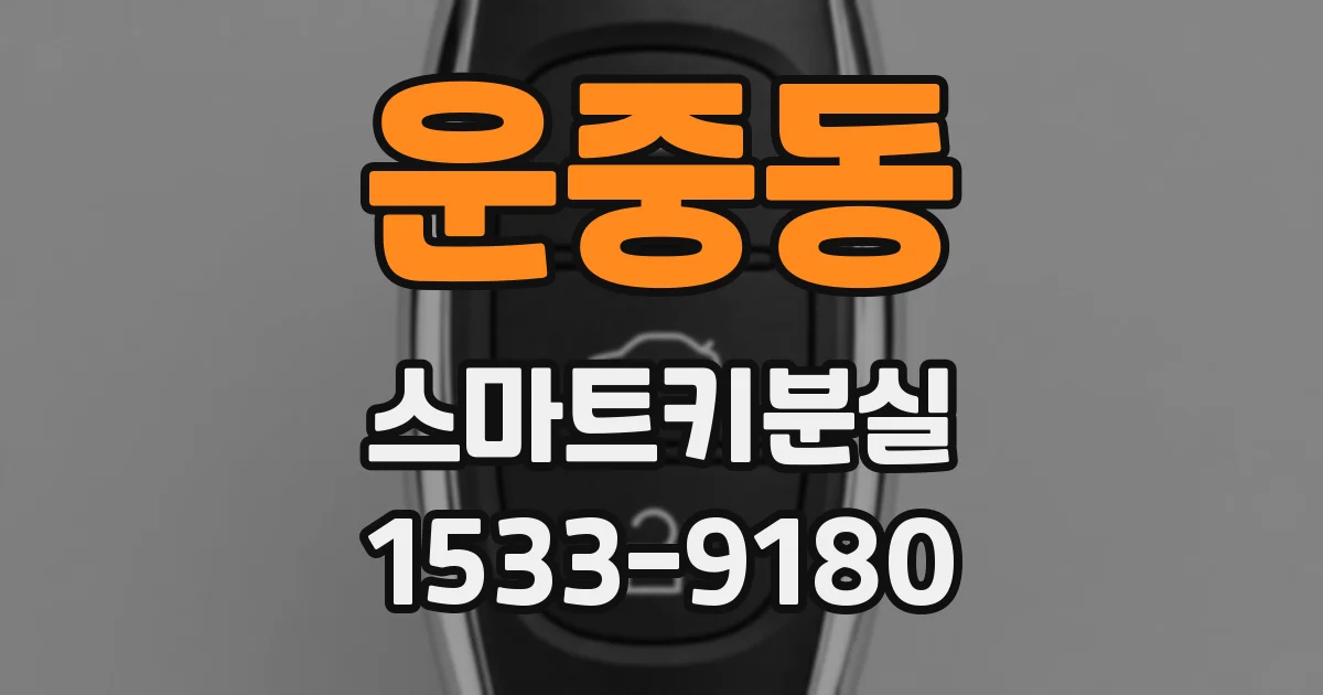 운중동 스마트키분실