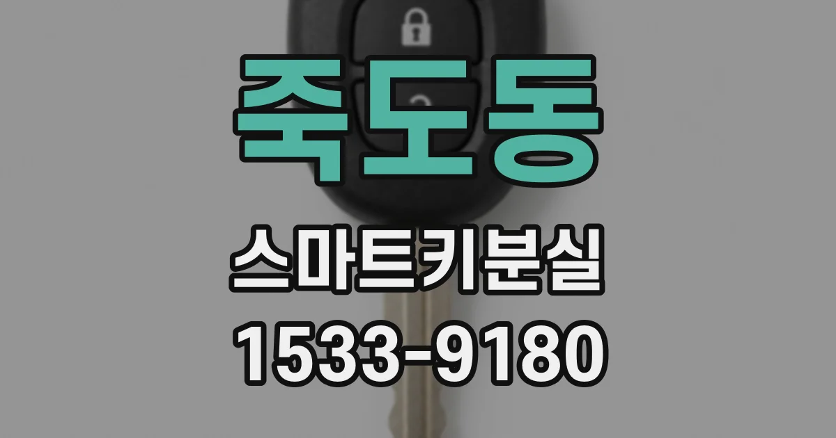죽도동 스마트키분실