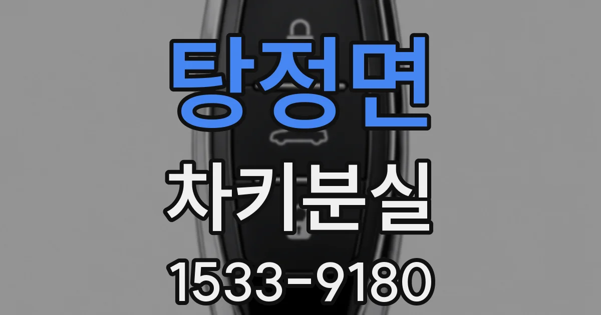 탕정면 차키분실