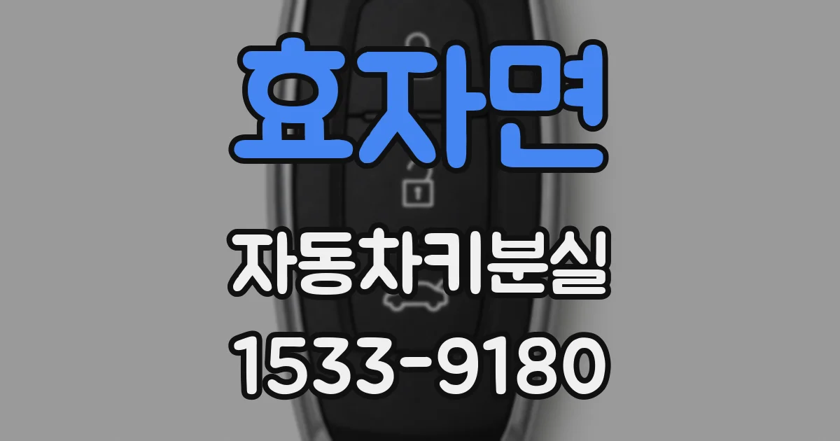 효자면 자동차키분실