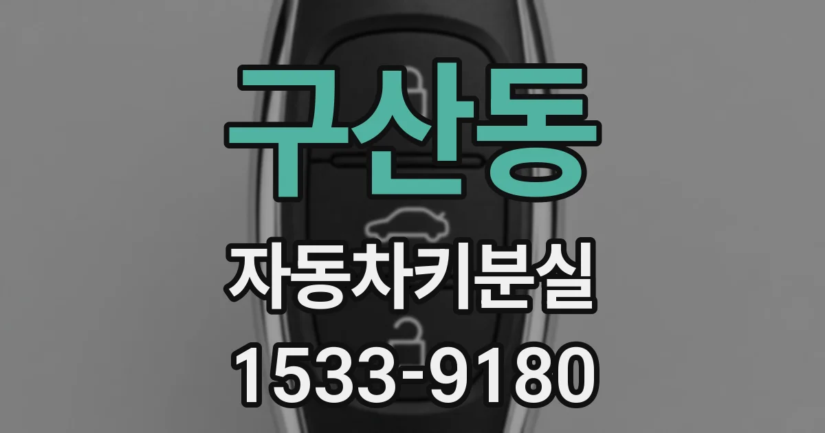 구산동 자동차키분실