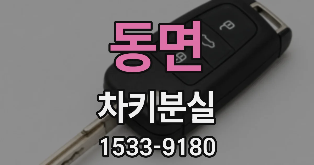 동면 차키분실