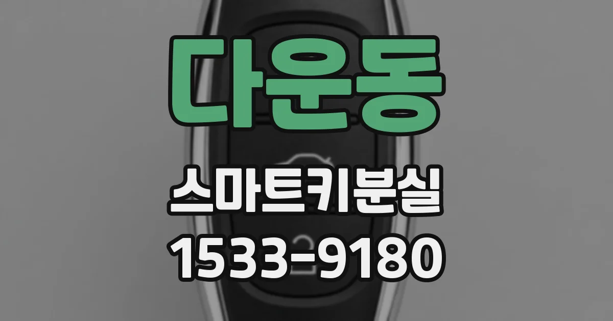 다운동 스마트키분실