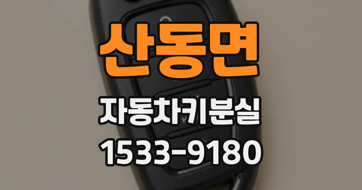 산동면 자동차키분실