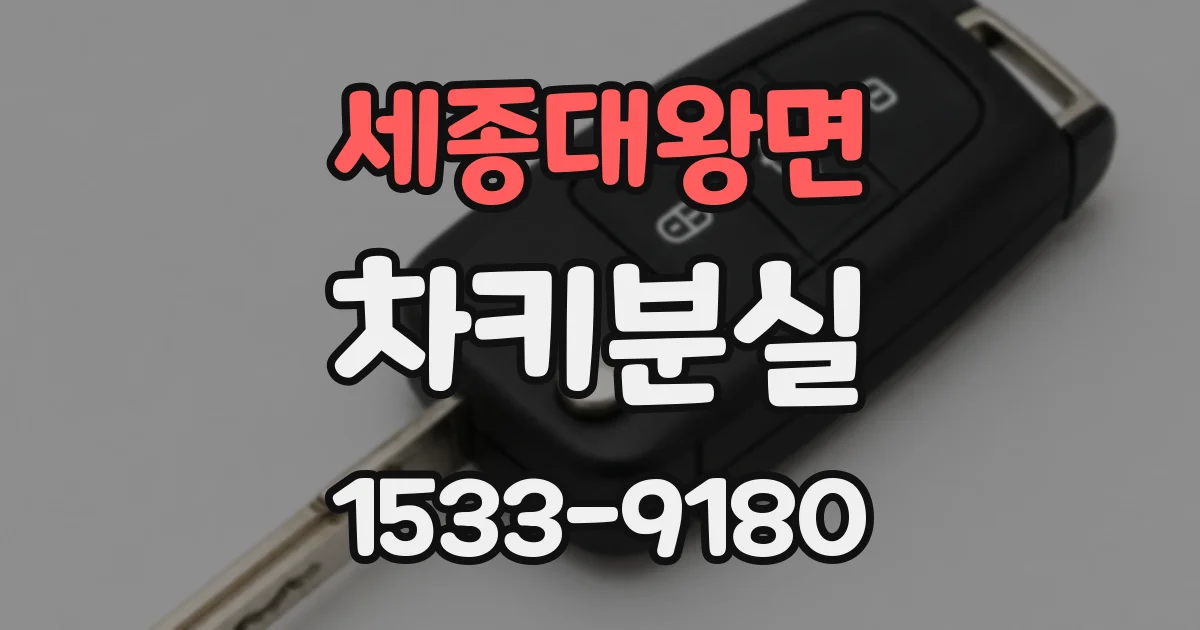 세종대왕면 차키분실