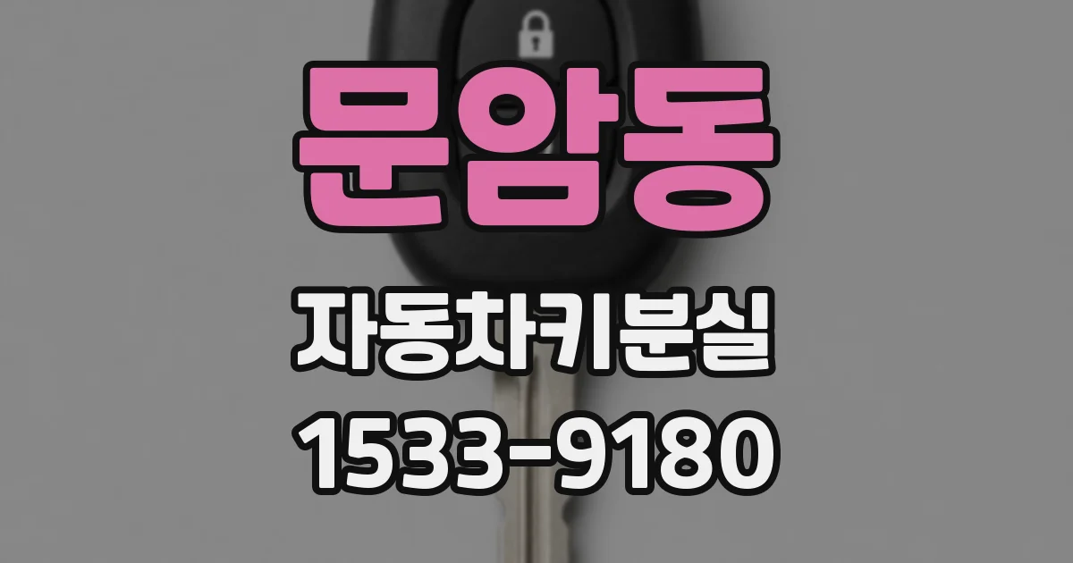 문암동 자동차키분실