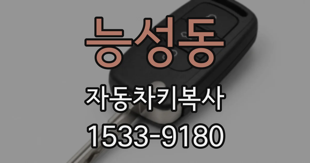 능성동 자동차키복사
