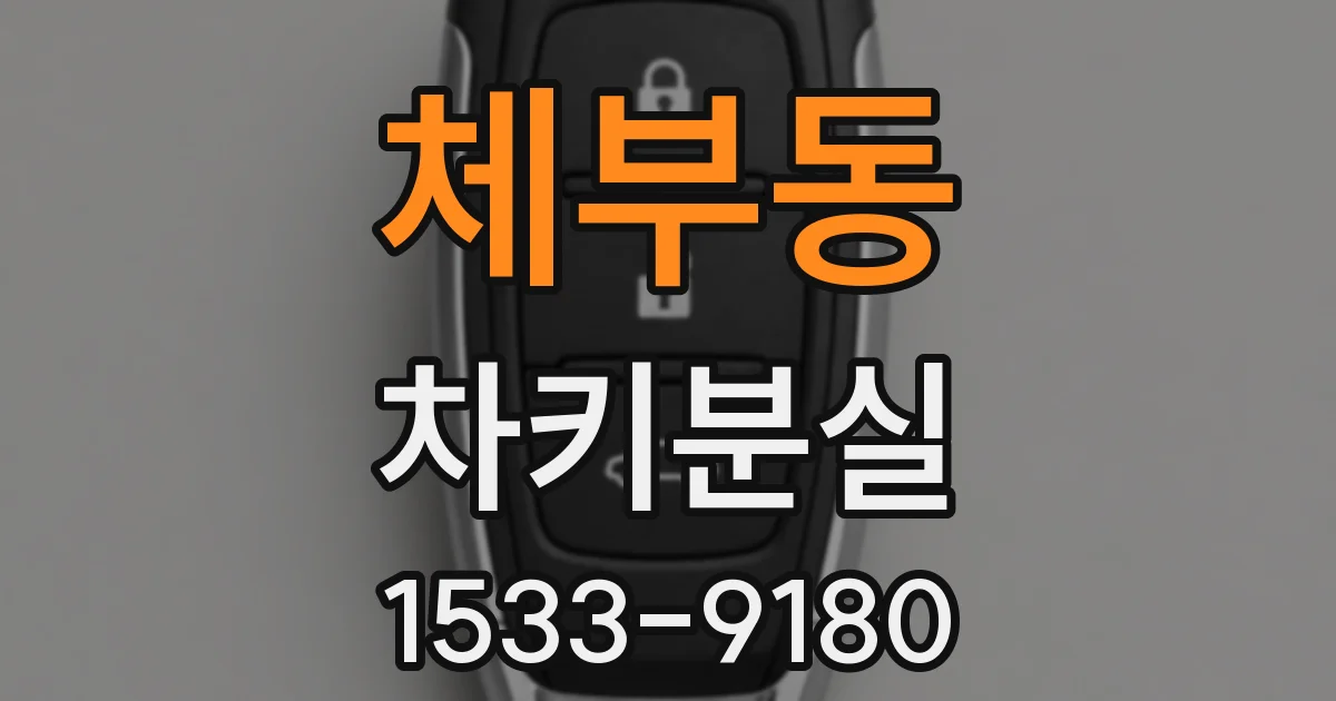 체부동 차키분실