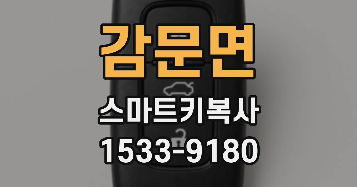 감문면 스마트키복사