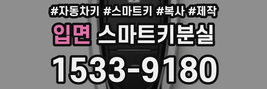 입면 스마트키분실